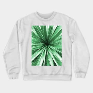 Green Plant Photo Crewneck Sweatshirt